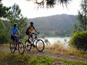 Mount Gambier Crater Lakes Mountain Bike Trail - Accommodation Resorts