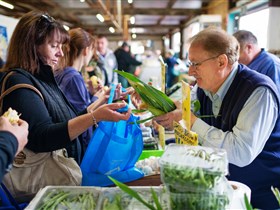 Mount Pleasant Farmers Market - Find Attractions