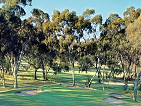 Tanunda Pines Golf Club - Attractions