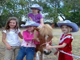 Amberainbow Pony Rides - Attractions