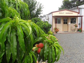 Gully Gardens - Accommodation in Bendigo