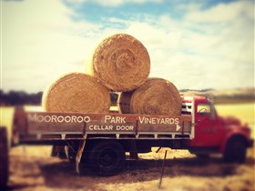 Moorooroo Park Vineyards - Accommodation Mt Buller