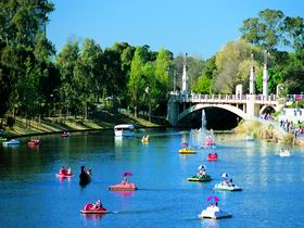Captain Jolleys Paddle Boats - Mount Gambier Accommodation
