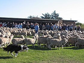 Curringa Farm - Accommodation and Farm Tours - Attractions Melbourne