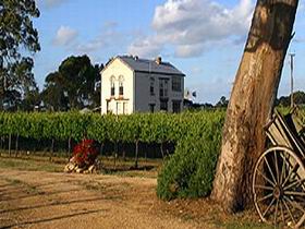 Highbank Vineyards - New South Wales Tourism 