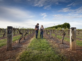 Coonawarra Wineries Walking Trail - Accommodation Adelaide