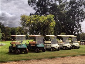 Loxton Golf Club - Redcliffe Tourism