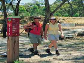 Riesling Trail - Accommodation Redcliffe