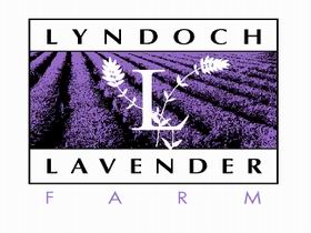 Lyndoch Lavender Farm and Cafe - Accommodation in Bendigo