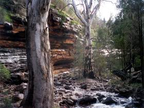 Mount Remarkable National Park - Accommodation Adelaide