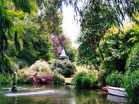 Laughton Park Gardens and Tearooms - Accommodation Sunshine Coast