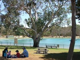 Naracoorte Nature Park and Swimming Lake - Redcliffe Tourism