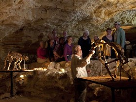 Naracoorte Caves National Park - Mount Gambier Accommodation