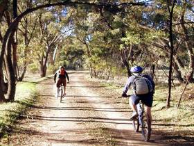 Bike About Mountain Bike Tours And Hire - Mount Gambier Accommodation