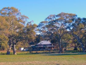 Old Wilpena Station - Redcliffe Tourism
