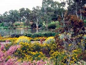 Wittunga Botanic Garden - Mount Gambier Accommodation
