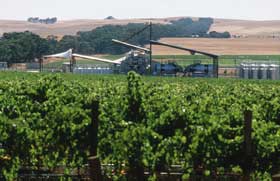 Kirrihill Wines - New South Wales Tourism 