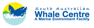 South Australian Whale Centre - Attractions Melbourne