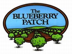 The Blueberry Patch - Accommodation Sunshine Coast
