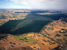 Mount Crawford Forest Reserve - Attractions