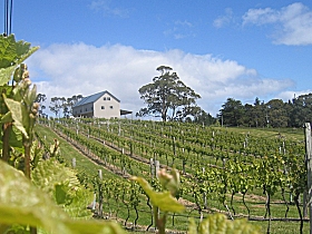 Bruny Island Premium Wines Bar and Grill - Attractions