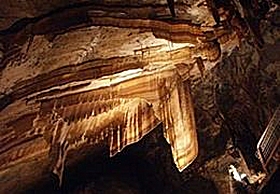 Gunns Plains Cave - Find Attractions