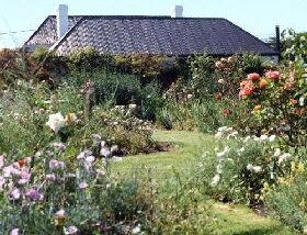 Rosedown Gardens - Accommodation Gladstone