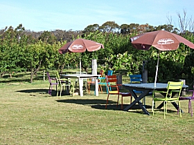 Cerise Brook Orchard  Family Golf - Accommodation Adelaide