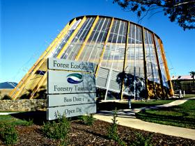 Forest EcoCentre - Accommodation in Bendigo