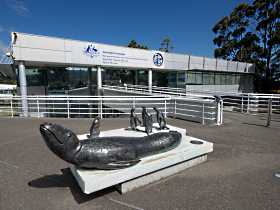 Australia's Antarctic Headquarters - thumb 0
