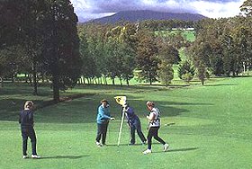 Deloraine Golf Course - Attractions