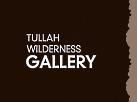 Tullah Wilderness Gallery - Accommodation Brunswick Heads
