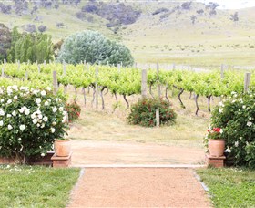 Brindabella Hills Winery - Accommodation ACT