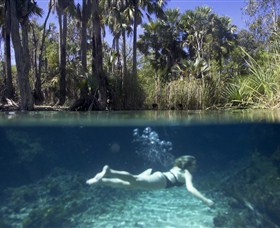 Bitter Springs - Tourism Cairns
