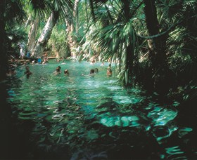 Mataranka Thermal Pool - Tourism Cairns