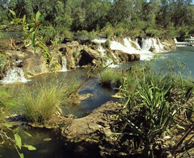Flora River Nature Park - thumb 0