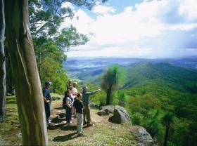 Gold Coast Hinterland Great Walk - Tourism Cairns