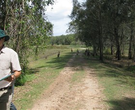 Coombabah Lakes Conservation Area - Find Attractions