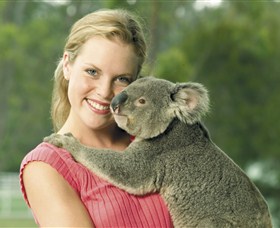 Paradise Country Aussie Farm Tour - Find Attractions