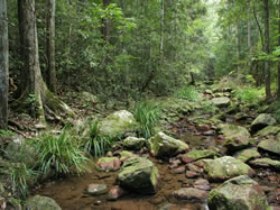 Amamoor State Forest - Attractions Melbourne