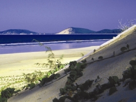 Cooloola Great Sandy National Park - Accommodation Georgetown
