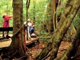 Mary Cairncross Scenic Reserve - New South Wales Tourism 