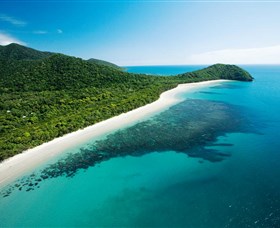 Cape Tribulation Daintree National Park - Find Attractions