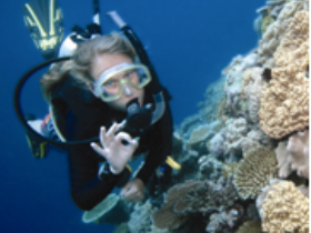 Moore Reef Dive Site - thumb 0