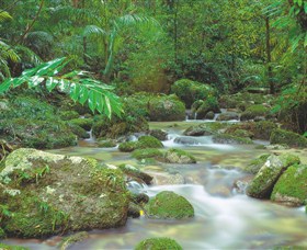 Mossman Gorge Daintree National Park - Find Attractions