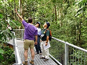 Daintree Discovery Centre - Attractions Melbourne