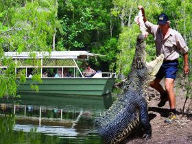 Hartleys Crocodile Adventures - Lightning Ridge Tourism