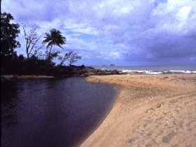 Russell River National Park - Accommodation Main Beach