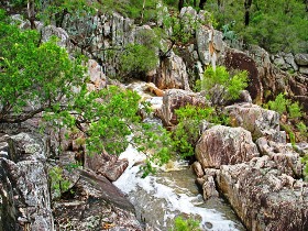 Crows Nest National Park - Accommodation Bookings