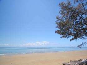 Blacks Beach - New South Wales Tourism 